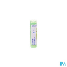 Afbeelding in Gallery-weergave laden, Ledum Palustre 5ch Gr 4g Boiron