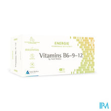 Afbeelding in Gallery-weergave laden, Vitamins B6-9-12 Caps 96