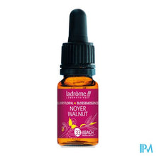 Afbeelding in Gallery-weergave laden, Ladrome Walnoot/walnut 10ml