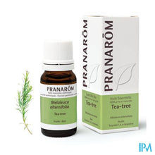 Afbeelding in Gallery-weergave laden, Pranarom Eo Tea Tree 10ml