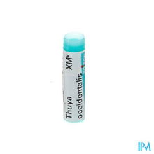 Load image into Gallery viewer, Thuya Occidentalis Xmk Gl Boiron