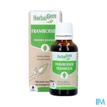 Load image into Gallery viewer, Herbalgem Frambozenstruik Bio 30ml