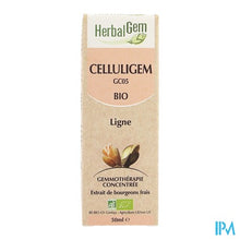 Afbeelding in Gallery-weergave laden, Herbalgem Celluligem Complex 50ml