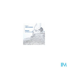 Load image into Gallery viewer, Ducray Kelual Ds Sh Verzorg. Hardnek. Roos 100ml