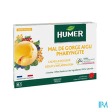 Afbeelding in Gallery-weergave laden, Humer Faryngitis Rood Fruit Past 20