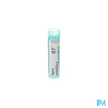 Afbeelding in Gallery-weergave laden, Apis Mellifica 7ch Gr 4g Boiron