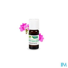 Load image into Gallery viewer, Phytosun Rozengeran. Fr-bio-01 10ml