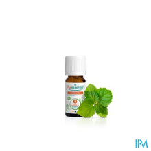 Afbeelding in Gallery-weergave laden, Puressentiel Eo Patchoeli Bio 5ml