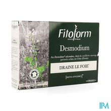 Load image into Gallery viewer, Desmodium Amp 20