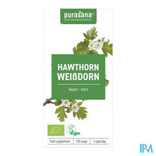 Afbeelding in Gallery-weergave laden, Purasana Meidoorn Extract 100mg Bio V-caps 120