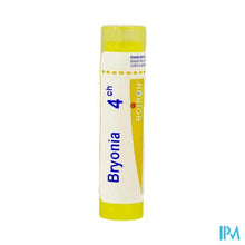 Afbeelding in Gallery-weergave laden, Bryonia 4ch Gr 4g Boiron