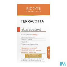 Load image into Gallery viewer, Biocyte Terracotta Zon A/rimpel Comp 30