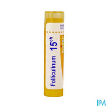Load image into Gallery viewer, Folliculinum 15ch Gr 4g Boiron