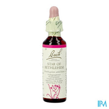 Afbeelding in Gallery-weergave laden, Bach Flower Remedie 29 Star Bethlehem 20ml