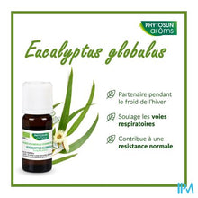Afbeelding in Gallery-weergave laden, Phytosun Euc. Globulus Fr-bio-01 10ml