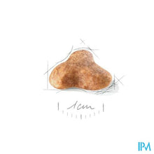 Afbeelding in Gallery-weergave laden, Royal Canin Bhn Canine Pug 1,5kg