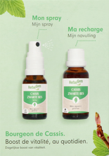 Afbeelding in Gallery-weergave laden, Herbalgem Zwart.bes Bio Spray15ml+gtt 30ml Duopack
