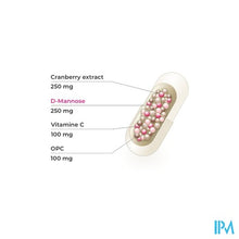 Afbeelding in Gallery-weergave laden, Cranber Plus Comp 60 Pharmanutrics