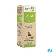 Load image into Gallery viewer, Herbalgem Eik Maceraat 50ml