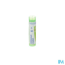 Load image into Gallery viewer, Antimonium Crudum 5ch Gr 4g Boiron