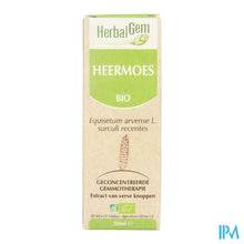 Afbeelding in Gallery-weergave laden, Herbalgem Heermoes Maceraat 50ml