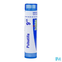 Load image into Gallery viewer, Pulsatilla 9ch Gr 4g Boiron
