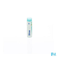 Afbeelding in Gallery-weergave laden, Silicea Mk Gl Boiron