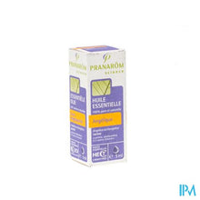 Afbeelding in Gallery-weergave laden, Pranarom Eo Grote Engelwortel Wortel 5ml