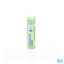 Afbeelding in Gallery-weergave laden, Phosphoricum Acidum 5ch Gr 4g Boiron