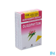 Afbeelding in Gallery-weergave laden, Oligophytum Kobalt Tube Micro-comp 3x100 Holistica