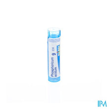 Afbeelding in Gallery-weergave laden, Phosphoricum Acidum 9ch Gr 4g Boiron