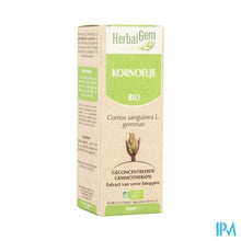 Load image into Gallery viewer, Herbalgem Kornoelje Maceraat 50ml