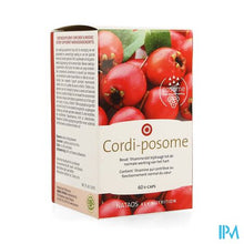 Load image into Gallery viewer, Cordi-posome V-caps 60