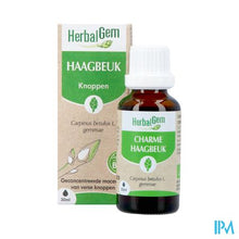 Load image into Gallery viewer, Herbalgem Haagbeuk Bio 30ml