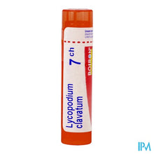 Afbeelding in Gallery-weergave laden, Lycopodium Clavatum 7ch Gr 4g Boiron