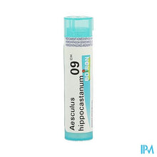 Afbeelding in Gallery-weergave laden, Aesculus Hippocastanum 9ch Gr 4g Boiron