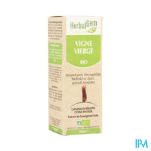 Afbeelding in Gallery-weergave laden, Herbalgem Wilde Wingerd Maceraat 50ml
