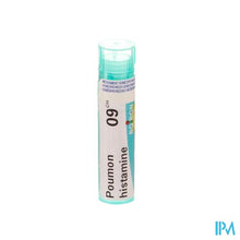 Afbeelding in Gallery-weergave laden, Poumon Histamine 9ch Gr 4g Boiron