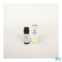 Afbeelding in Gallery-weergave laden, Sjankara Eucalyptus Radiata Bio Ess Olie 11ml