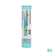 Afbeelding in Gallery-weergave laden, Chininum Sulfuricum 9ch Gr 4g Boiron