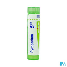 Afbeelding in Gallery-weergave laden, Pyrogenium 5ch Gr 4g Boiron