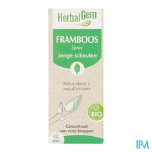 Afbeelding in Gallery-weergave laden, Herbalgem Frambozenstruik Bio Spray 15ml