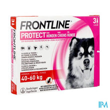 Afbeelding in Gallery-weergave laden, Frontline Protect Spot On Opl Hond 40-60kg Pipet 3