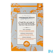 Charger l'image dans la galerie, Cystus 052 Infektblocker Orange Past 66