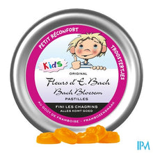 Load image into Gallery viewer, Bachbloesem Pastilles Kinderen Troostertjes 50 g