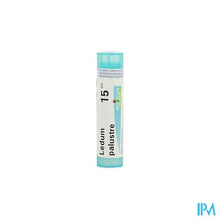 Afbeelding in Gallery-weergave laden, Ledum Palustre 15ch Gr 4g Boiron