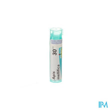 Afbeelding in Gallery-weergave laden, Apis Mellifica 30ch Gr 4g Boiron