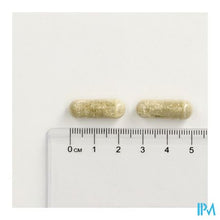 Afbeelding in Gallery-weergave laden, Promagnor Relaxation Caps 60