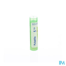 Afbeelding in Gallery-weergave laden, Pulsatilla 5ch Gr 4g Boiron