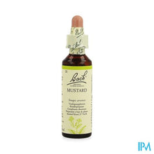 Afbeelding in Gallery-weergave laden, Bach Flower Remedie 21 Mustard 20ml